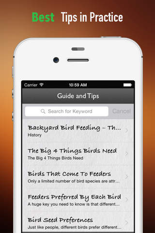 Bird Seed 101:Tips and Tutorial screenshot 4