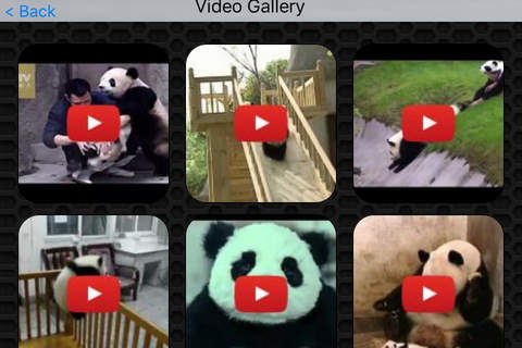 Panda Video and Photo Galleries FREE screenshot 2