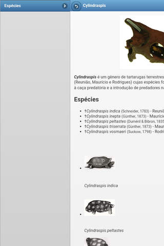 Directory of turtles screenshot 4