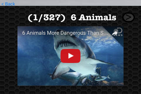 Shark Video and Photo Galleries FREE screenshot 3