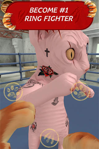 Puss Box 3D - Cat Fight screenshot 2