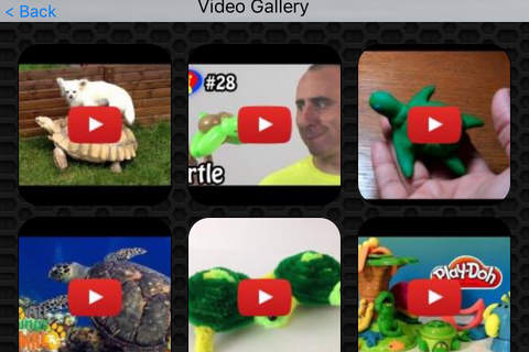 Turtle Video and Photo Galleries FREE screenshot 2