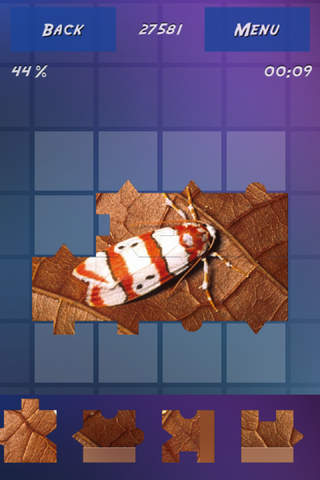 Insects Encyclopedia Puzzles screenshot 4