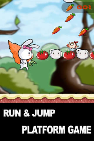 Rabbit Run ! screenshot 2