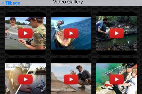 Fishing Photos & Videos Premium screenshot 2