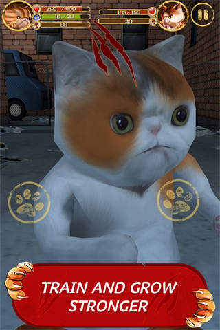 Puss Box 3D - Cat Fight Pro screenshot 3
