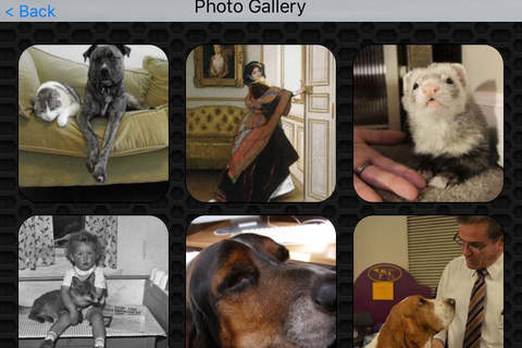 Pet Photos and Videos - Loyal friends of human screenshot 4