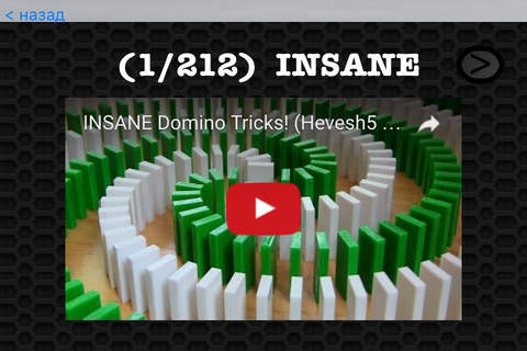 Dominoes Photos & Videos FREE |  Amazing 213 Videos and 27 Photos  |  Watch and Learn screenshot 3