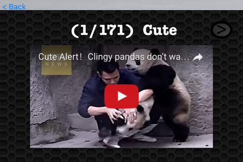 Panda Video and Photo Galleries FREE screenshot 3