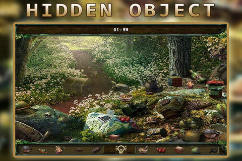 The Island of Dragons Hidden Object screenshot 4