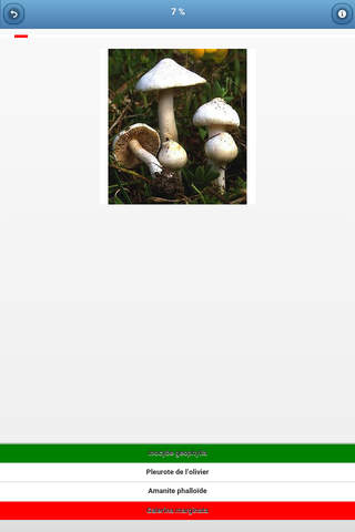 Mushrooms - quiz screenshot 3