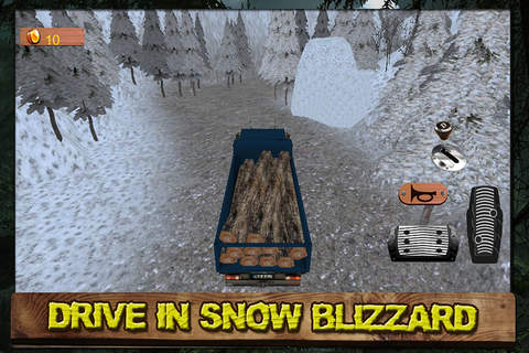 Mountain Wood Cargo Trucker 3D screenshot 2