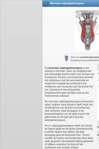 Directory of muscular system screenshot 3