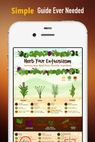 How to Grow Herbs :Tips and Guide screenshot 2