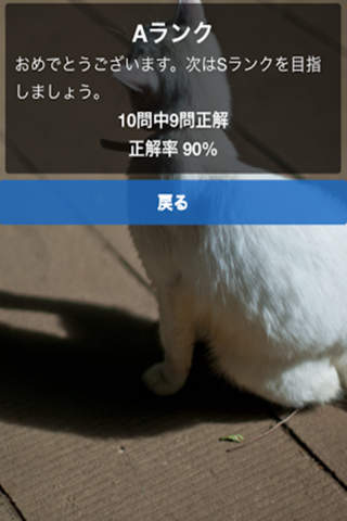 攻略・クイズ検定for白猫プロジェクト screenshot 4