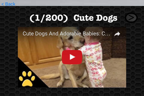 Dog Video and Photo Gallery FREE screenshot 3