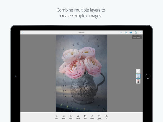 Adobe Photoshop Mix: edit, cut and combine your photos with fun, creative tools screenshot