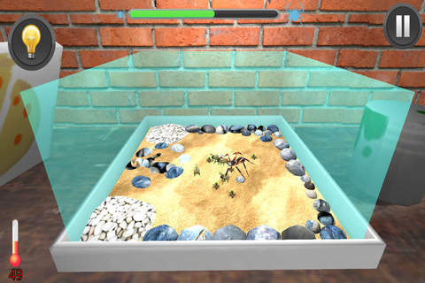 My Pet Spider 3D Sim screenshot 3