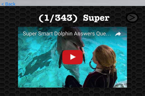 Dolphin Video and Photo Galleries FREE screenshot 3