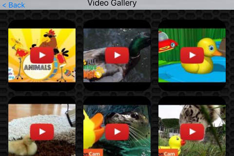 Duck Video and Photo Galleries FREE screenshot 2