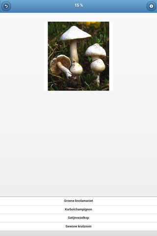 Mushrooms - quiz screenshot 2