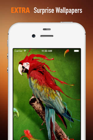 Parrot Wallpapers HD: Quotes Backgrounds with Art Pictures screenshot 3
