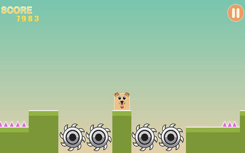 Doggy Box Dash: Square Run Spikes - The impossible challenge screenshot 2