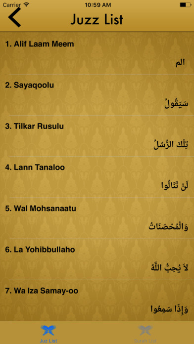 Bosnian Quran Translation and Reading screenshot 3