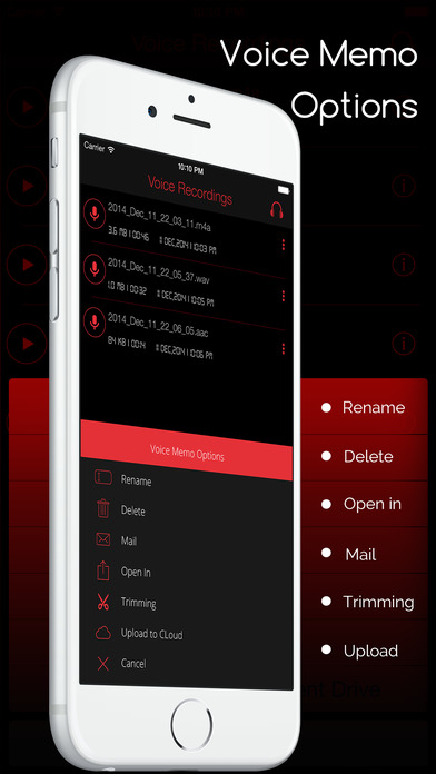 Voice Recorder : Audio Notes screenshot 2