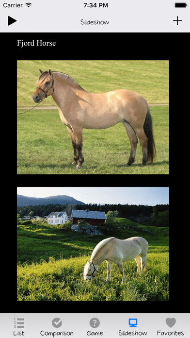 Horse Encyclopedia for iPhone screenshot 4