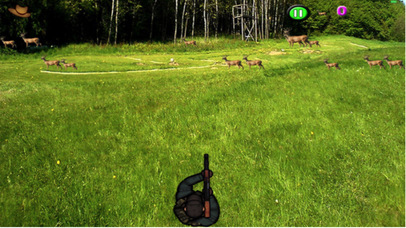 Animal Hunting Pro:This is The Real Target Today screenshot 2