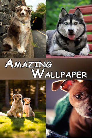 Dog Breeds Wallpapers - Cute Little Puppies Wallpapers screenshot 4