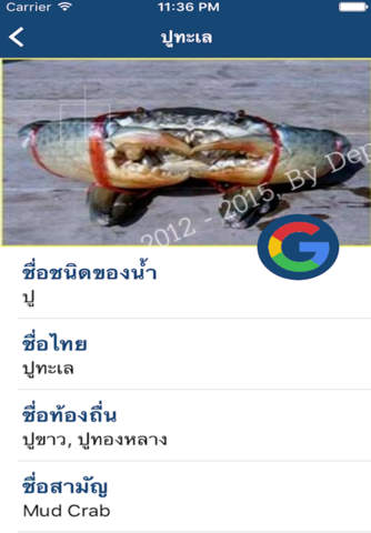 Love Thai Fish screenshot 4