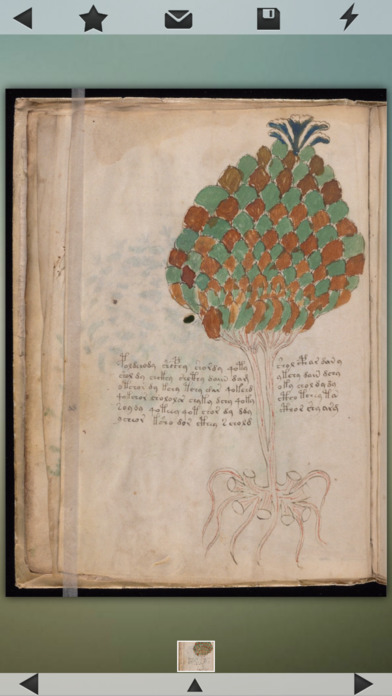 Voynich Manuscript! screenshot 2