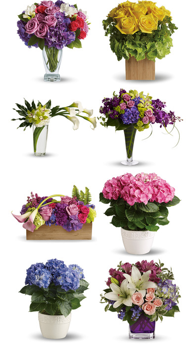 Flower Stickers! Hydrangeas Bouquet! Potted Plants screenshot 3