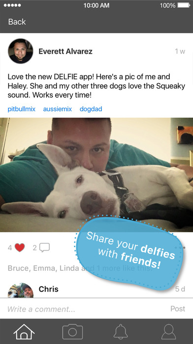 DELFIE Dog Selfie Photo Sounds Get Dogs Attention! screenshot 3