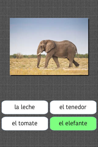 Spanish Words language learning app screenshot 4
