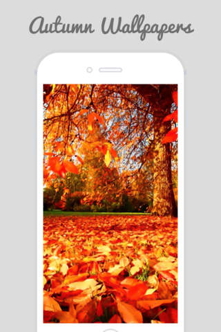 Autumn Wallpapers - Beautiful Home and Lock Wallz screenshot 3