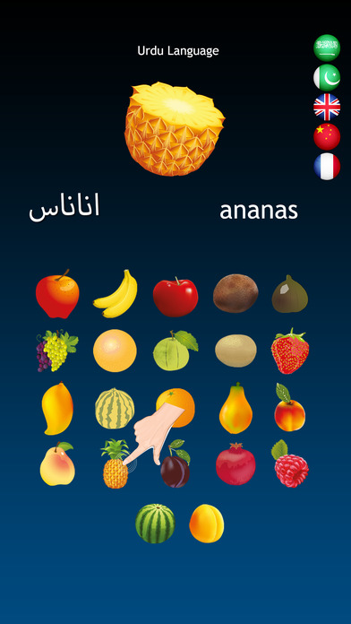 Fruits Dictionary Multilingual screenshot 2