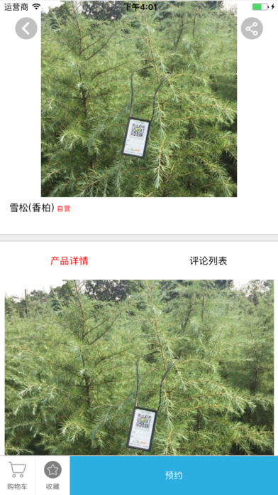 安徽园林绿化 screenshot 4