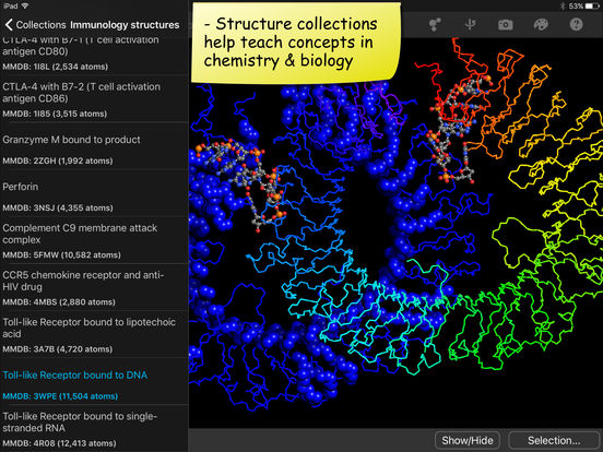 iPad Screenshot 3