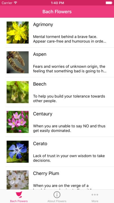 Bach Flowers Remedies screenshot 2