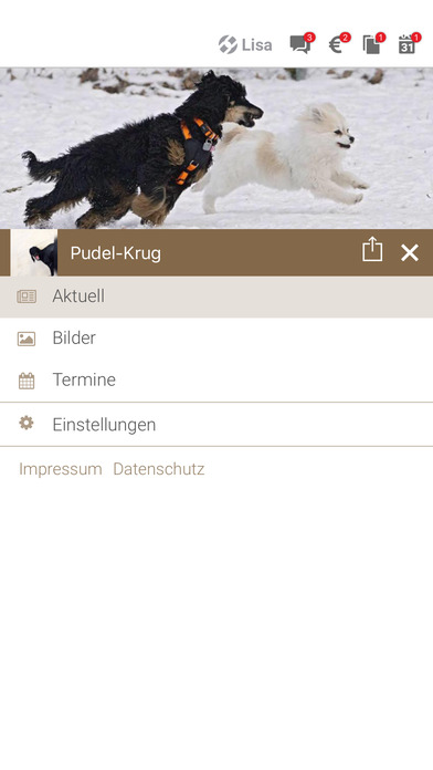 Pudel Krug by krugnow.com screenshot 2