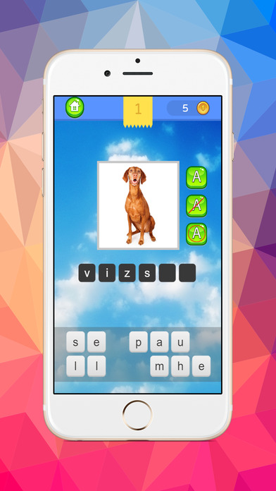 Dog images compare word guessing exercise quiz screenshot 4