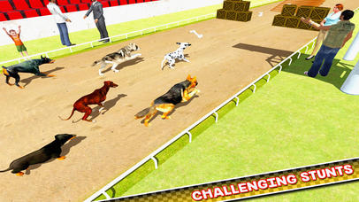Dog Training Jump and Stunts Simulator 3D screenshot 2