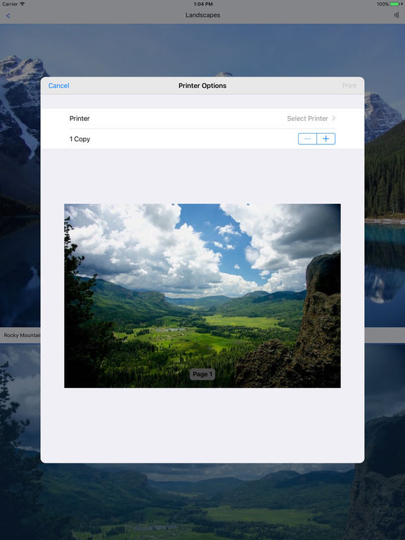 iPad Screenshot 5