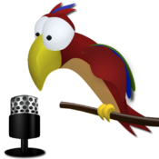 Cocorito