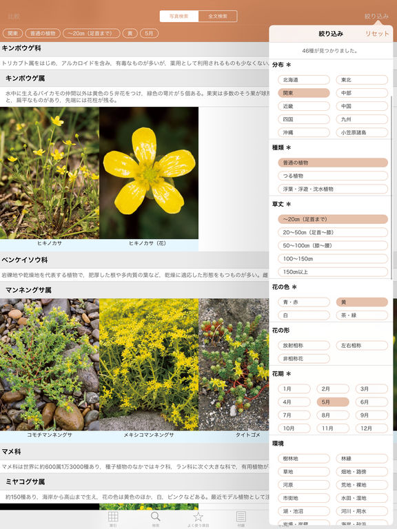 iPad Screenshot 3