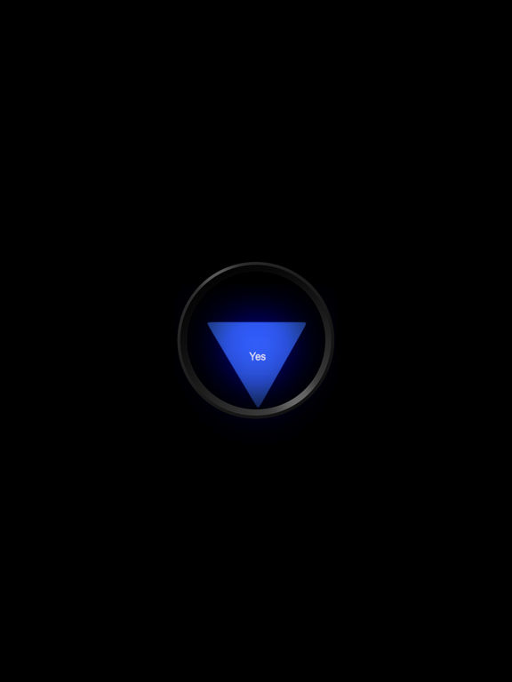 iPad Screenshot 4