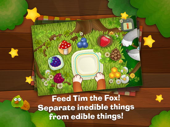 Tim the Fox Tim the Fox